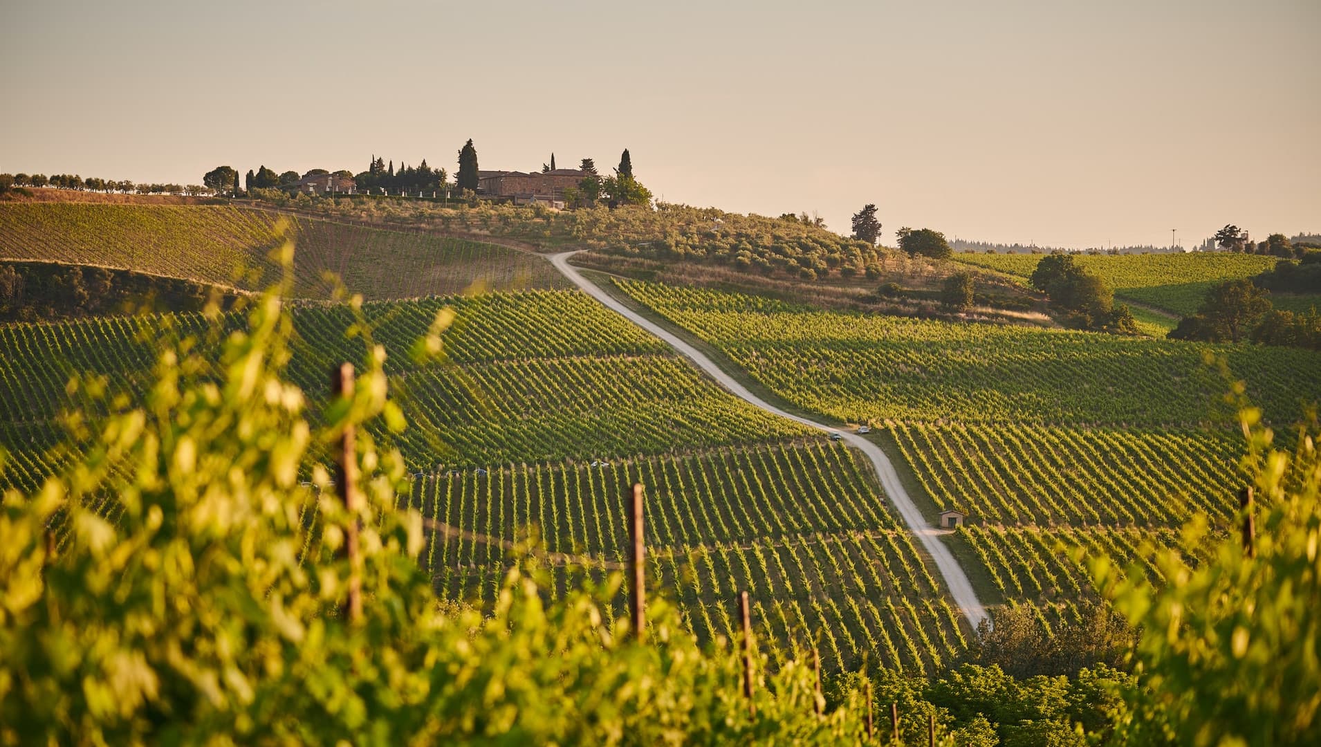 Visit to Chianti