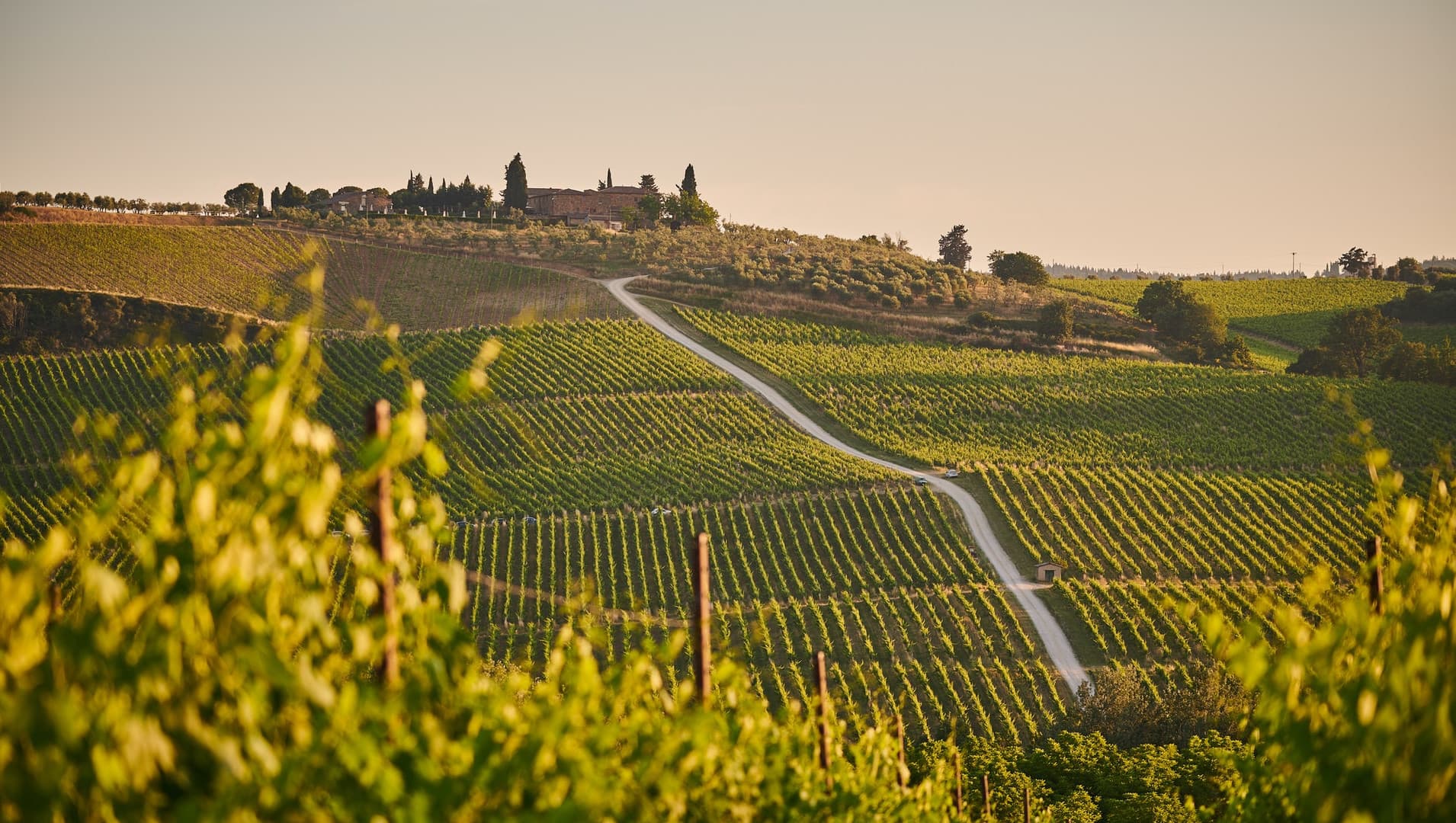 Visita al Chianti